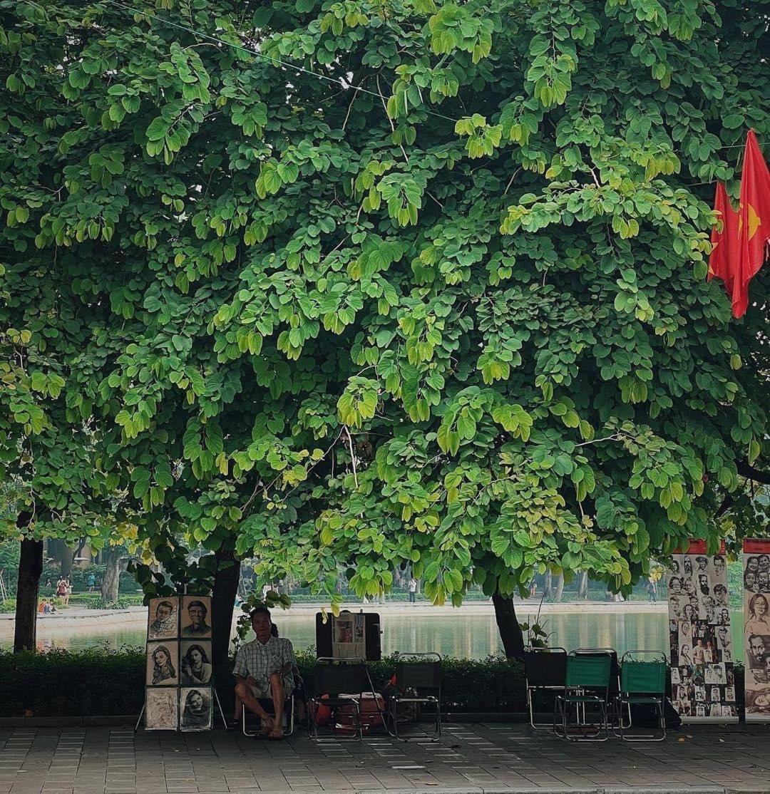 Tropical Land Little Hanoi Homestay Экстерьер фото