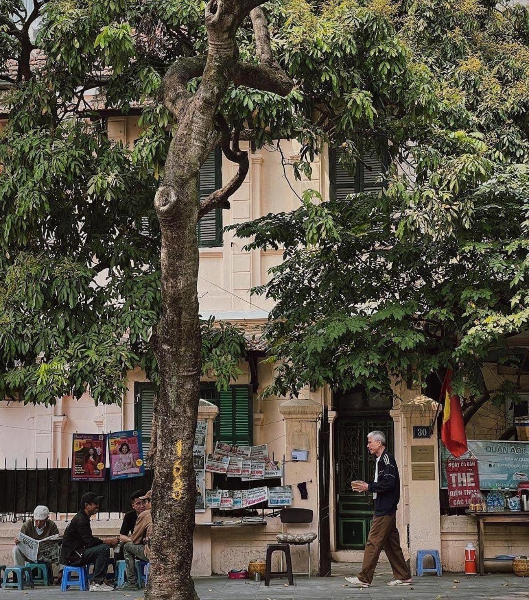 Tropical Land Little Hanoi Homestay Экстерьер фото